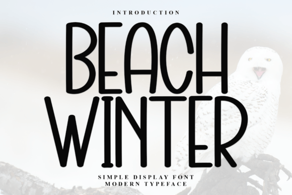 Beach Winter: A Display Font That Elevates Digital Branding