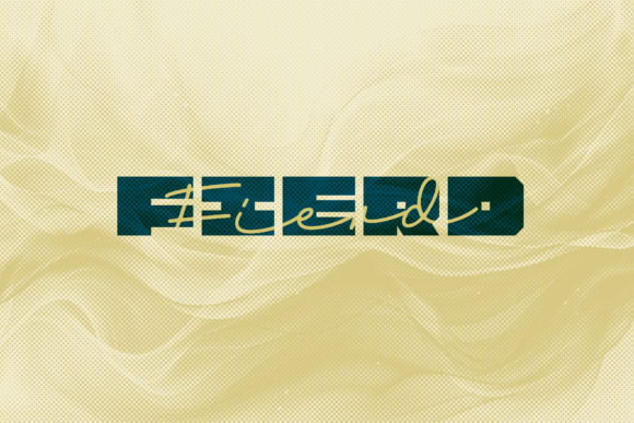 Fierd: A Playful, Polished Display Font Duo for Small Business Branding
