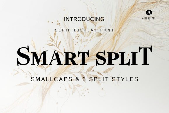 Smart Split: A Bold Serif Display Font for Handmade Creators